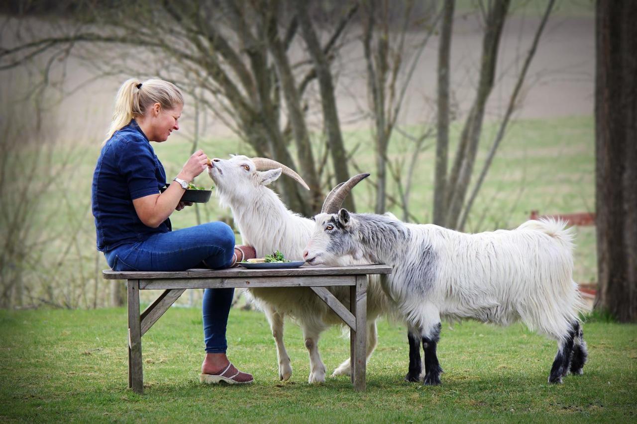 Toric Farmlodge Brastad Kültér fotó