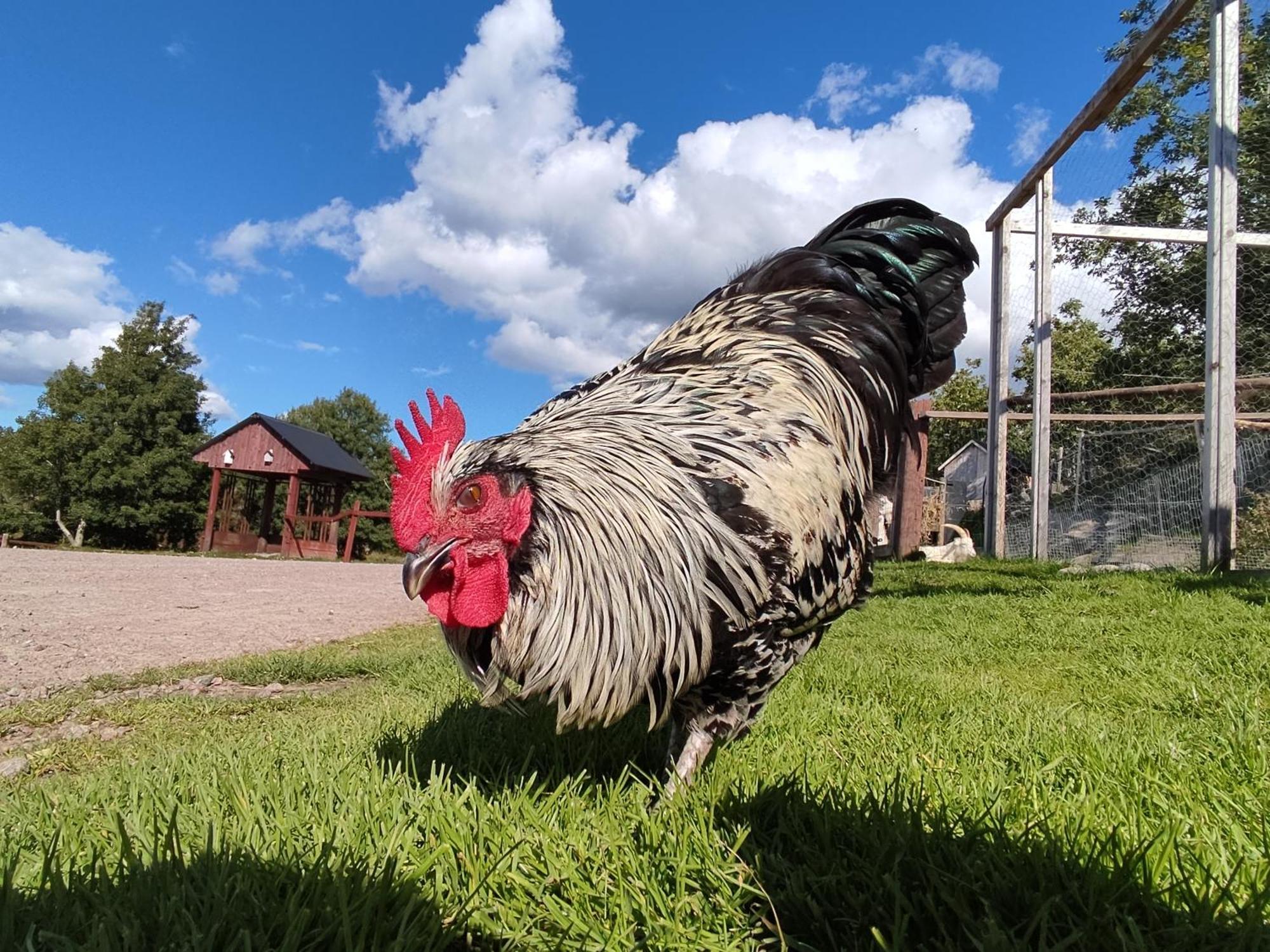 Toric Farmlodge Brastad Kültér fotó